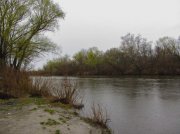 IMG_0218_resize.jpg
