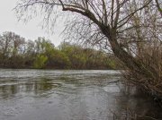 IMG_0221_resize.jpg