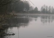 1-IMG_0007.JPG