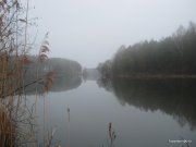 1-IMG_0076.JPG