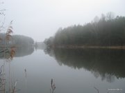 1-IMG_0078.JPG