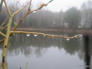 1-IMG_0083.JPG