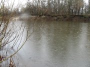 IMG_2597.jpg