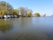 IMG_0237_resize.jpg