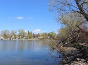 IMG_0240_resize.jpg