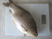 IMG_5368.jpg