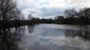 IMG_0145.jpg