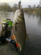 17042012161.jpg