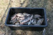 голая-пристань.jpg