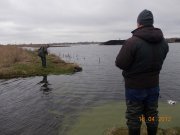 DSCN0530.jpg