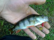 210420121688.jpg