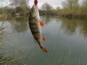 210420121690.jpg