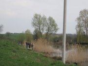 IMG_4462.jpg