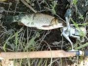 DSC00220.JPG