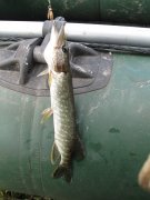 IMG_2323.jpg