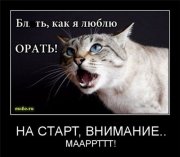 7f94c424c9ea.jpg