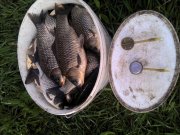 IMG_20120421_163811.jpg