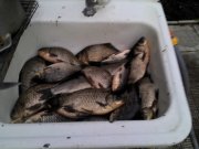IMG_20120421_180442.jpg