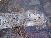 100_5931.jpg