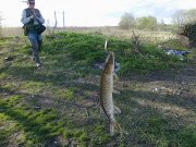 Изменение размера 21042012590.jpg