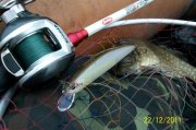 100_3532.jpg