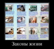 1335266549_demotivatory_06.jpg