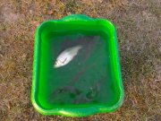 IMG_20120426_200913.jpg