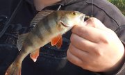 IMG_27-04-2012_082439.jpg