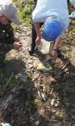 IMG_27-04-2012_085457.jpg