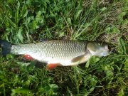 DSC02033.JPG