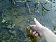 270420122105.jpg