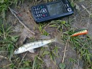 270420122106.jpg