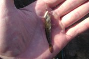 DSC05617.jpg