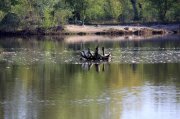 IMG_8040(ф).jpg