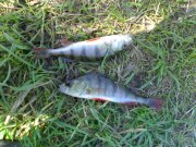 280420121707.jpg