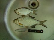280420121708.jpg
