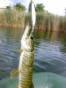 29062011751.jpg