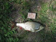 IMG_4470.jpg