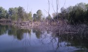 IMAG0756.jpg