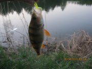IMG_0295.JPG
