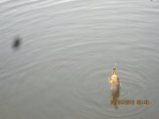 IMG_0297.JPG