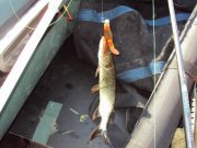 DSC04365.JPG
