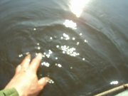 DSC04367.JPG