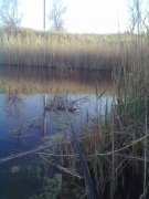 29042012326.jpg