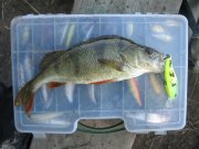 IMG_0556.JPG