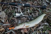 100_3435.jpg