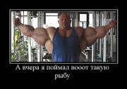 1335444927_demotivatory_31.jpg