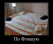 1335529149_demotivatory_03.jpg
