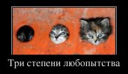 1335969014_demotivatory_03_001.jpg