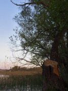 IMG_0406.jpg